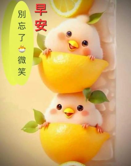 image%3A1000146097