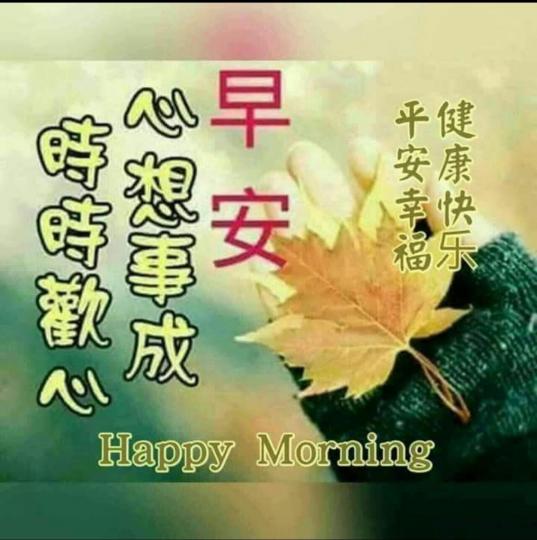 image%3A100073