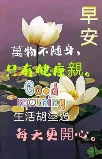 image%3A102965