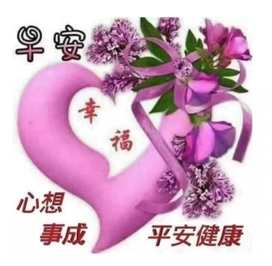 image%3A11118