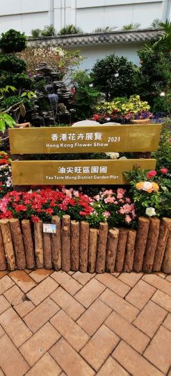 image%3A11304_0