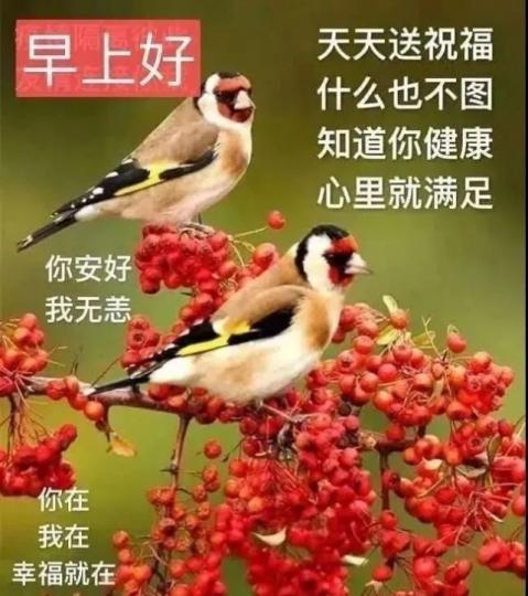 image%3A115413