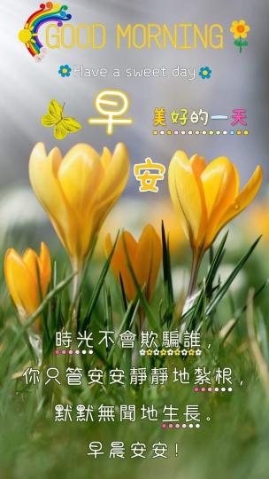 image%3A115944