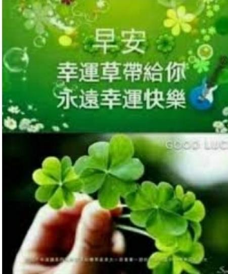 image%3A11757