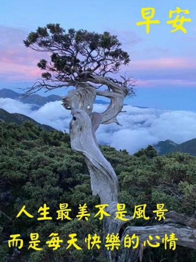 image%3A11824