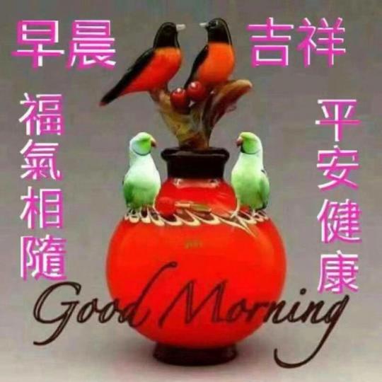 image%3A11872