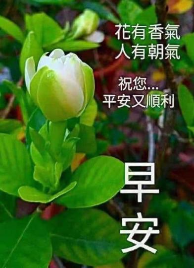 image%3A118816