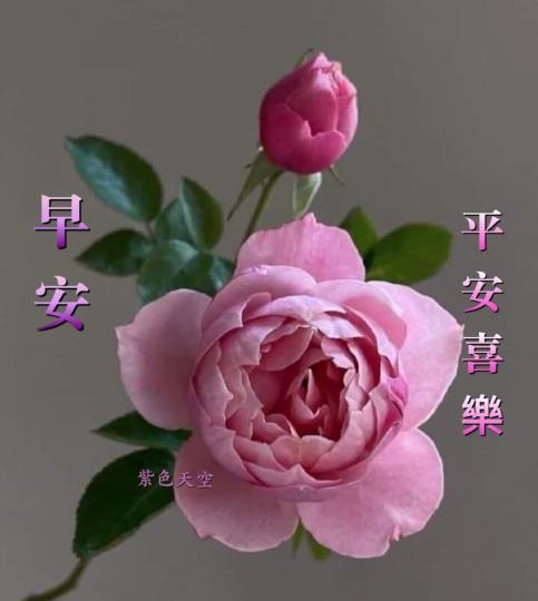 image%3A120823