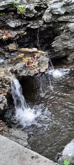 image%3A12450_0