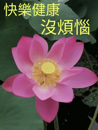 image%3A124798