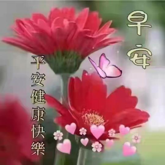 image%3A127327