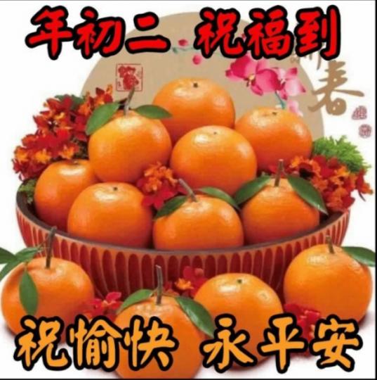 image%3A13540