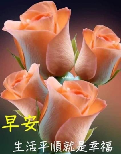 image%3A14966