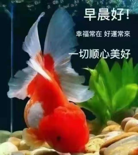 image%3A15323