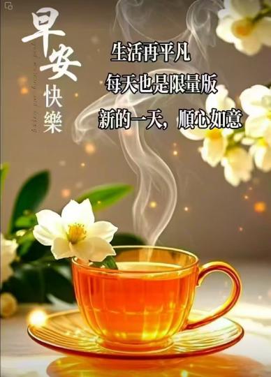 image%3A153411