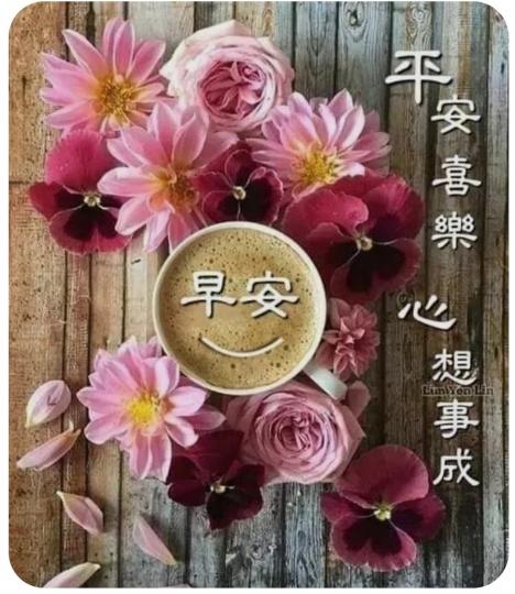 image%3A153613_0