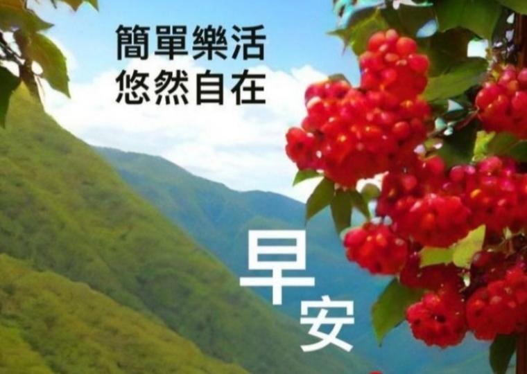 image%3A16431