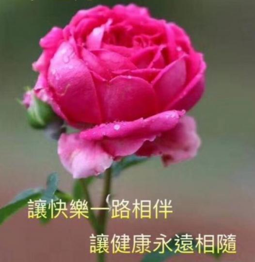 image%3A16481