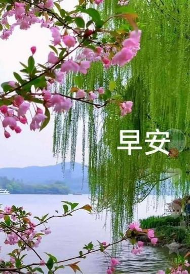 image%3A169118