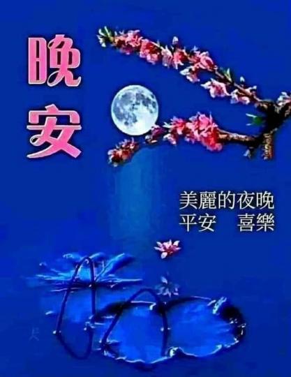image%3A169119