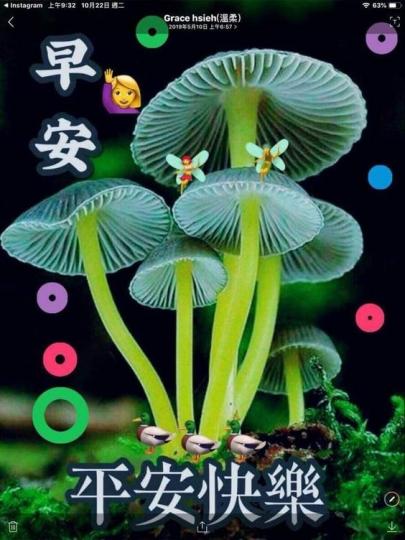 image%3A17074