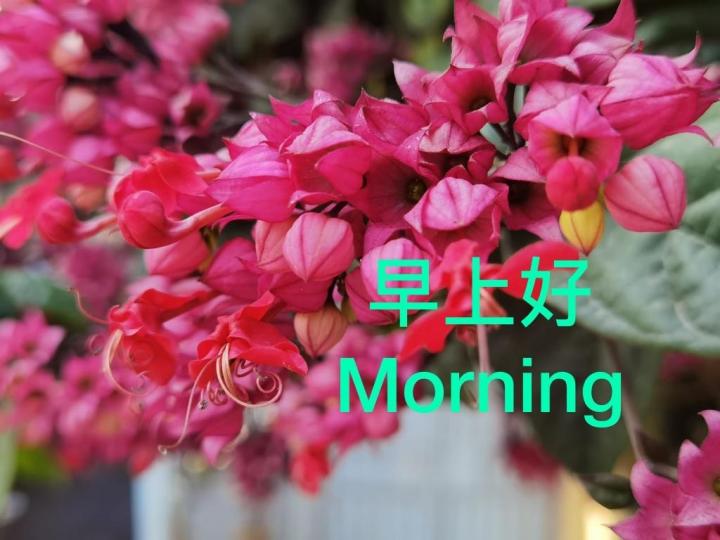image%3A17272