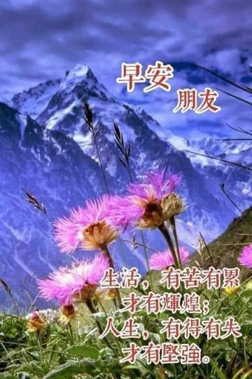 image%3A17307_0