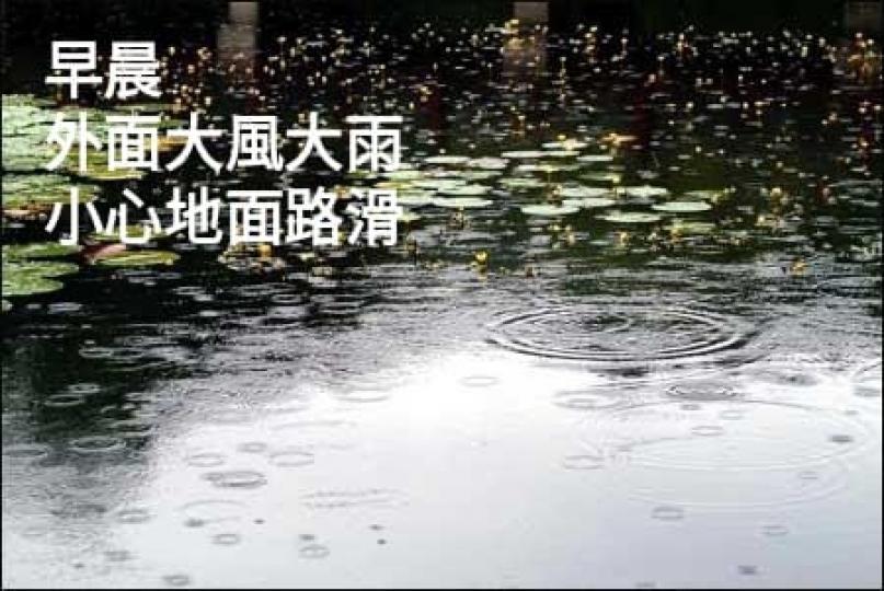 image%3A17521