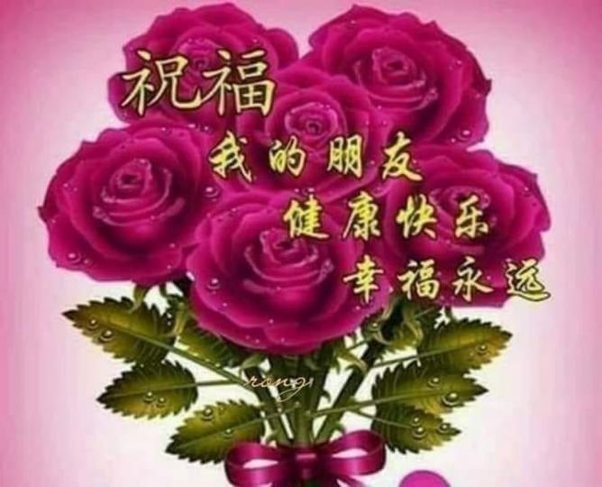 image%3A17751