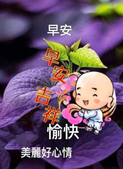image%3A17774