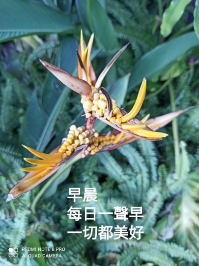 image%3A17858