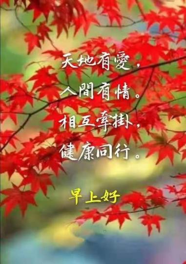 image%3A187718
