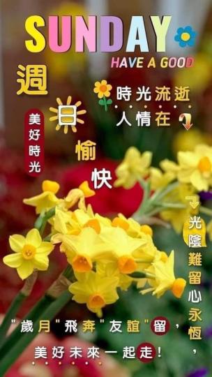 image%3A189527
