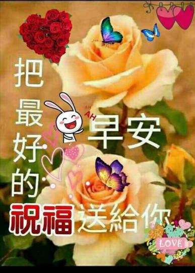 image%3A19243