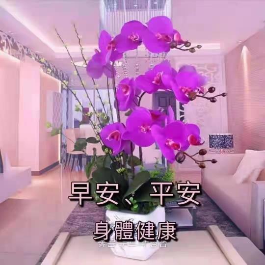 image%3A19496