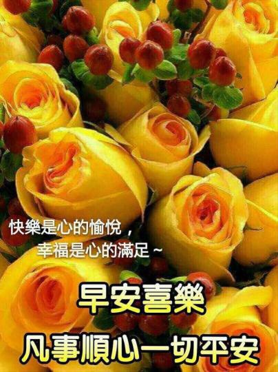image%3A19504