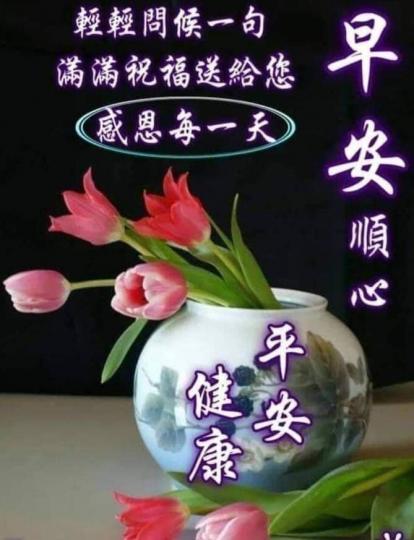 image%3A197924