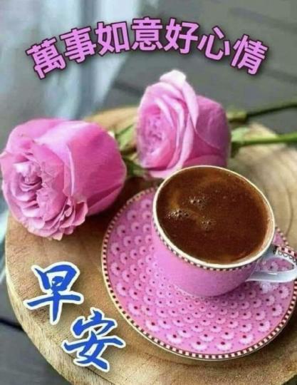 image%3A197925