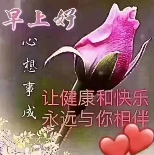 image%3A197966