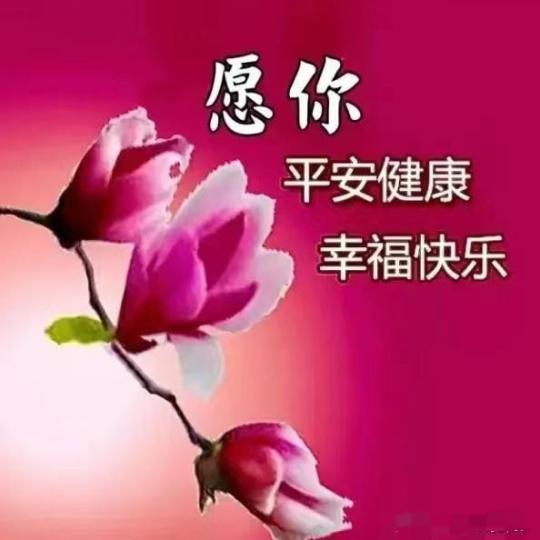 image%3A198332