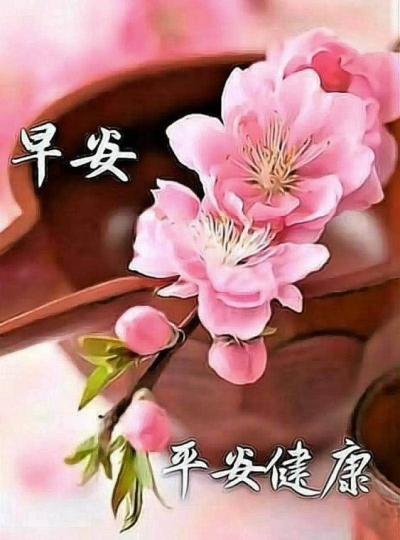 image%3A198840