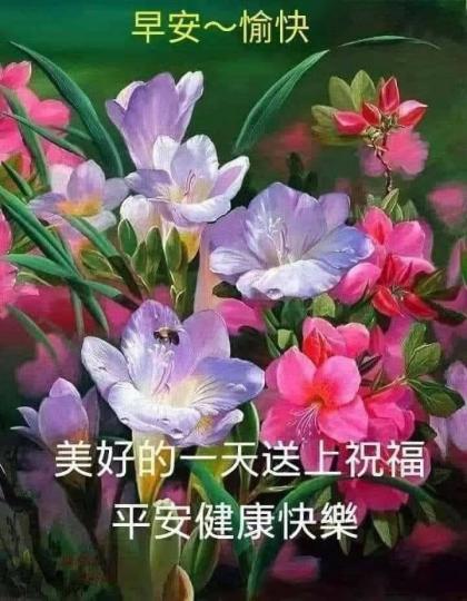 image%3A20217