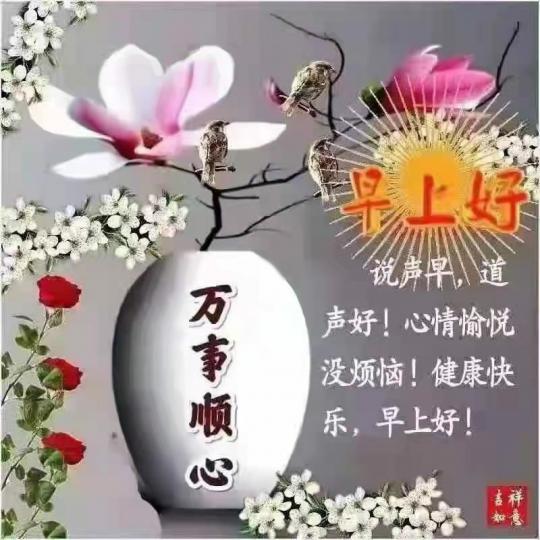 image%3A2033033