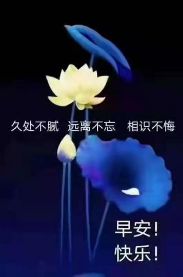 image%3A2033034