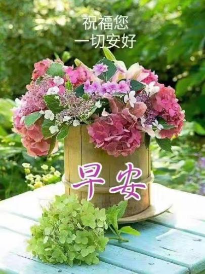 image%3A20530_0