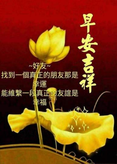 image%3A20584