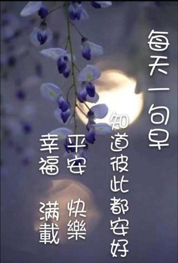 image%3A20660