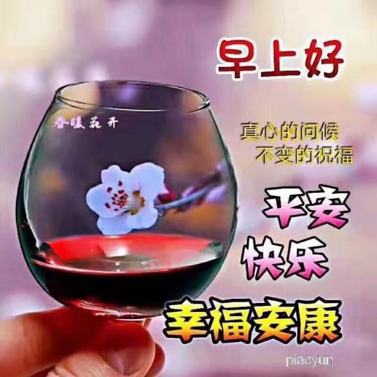 image%3A20775