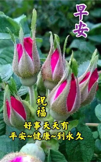 image%3A20867
