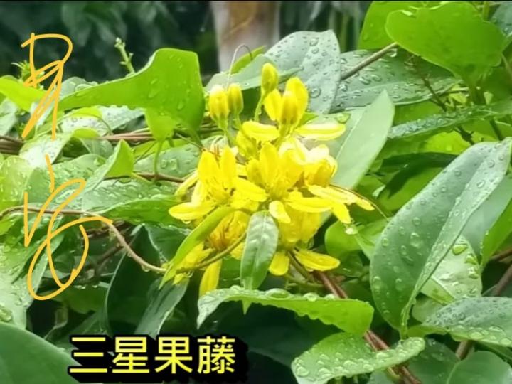 image%3A20920_1